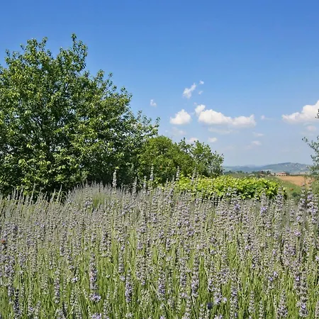 Podere Il Pino 컨트리하우스 포지본시