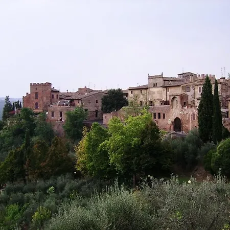 Podere Il Pino