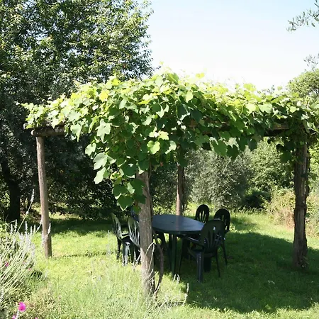 Podere Il Pino *